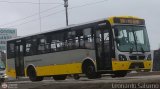 Per Bus Internacional - Corredor Amarillo 2093