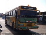 ZU - Colectivos Concepcin 081, por Sebastin Mercado
