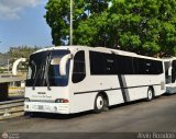 Servicios Especiales del Centro C.A. 13, por Alvin Rondn