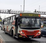 E.T. y Servicios Guadulfo Silva Carbajal (Per) 087, por Leonardo Saturno