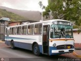 DC - Colectivos del Norte 51