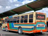 Transporte Bonanza 0001