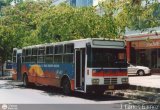 Transporte Bufalino C.A.