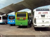 Garajes Paradas y Terminales San-Cristobal, por Yenderson Cepeda