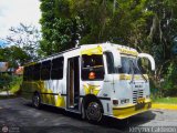 Lnea Los Andes S.C. 036, por Kleyzer Caldern