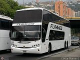 Expresos Flamingo 0017, por Csar Ramrez