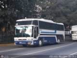 Particular 2024, por Alfredo Montes de Oca