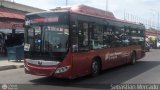 Bus MetroMara 081