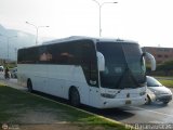 Particular 580