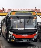 E.T. y Servicios Guadulfo Silva Carbajal (Per)
