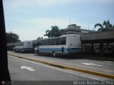 Unin Conductores Aeropuerto Maiqueta Caracas 034 CAndinas - Carroceras Andinas U1400 Chevrolet CHR660
