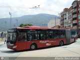 Trolmerida - Tromerca 05, por Alberto Bustamante