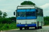 Particular o Desconocido Anzo�tegui por Pablo Acevedo