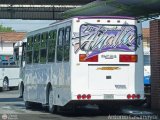 A.C. Uni�n Barquisimeto 50