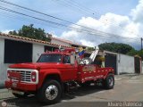 TA - Unin Transporte El Corozo S.A. 100, por Alvaro Palencia