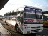 Transporte Mixto Pedro Leon Torres C.A. 12, por J. Carlos Gmez