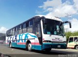 Expresos Pegamar 0015