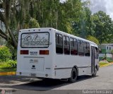 Lnea Los Andes S.C. 063, por Gabriel Gonzlez