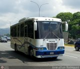 U.C. San Antonio S.C. 238, por Jonnathan Rodrguez