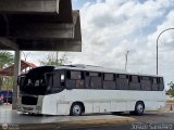 Vencedores Guayana 11, por Josue Snchez