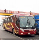 Empresa de Transporte Per Bus S.A. 338, por Leonardo Saturno