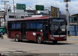 TransApure 86, por Antonio Mittilo