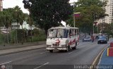 DC - Unin Ldice - Silencio 95, por Jonnathan Rodrguez