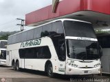Expresos Flamingo 2020