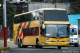 Expresos Los Llanos 146
