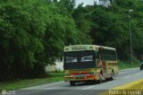 Cooperativa Canaima 50