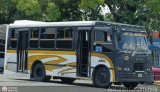 Asociaci�n Cooperativa Uni�n La Misi�n 12