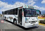 Transporte El Esfuerzo 34, por Daniel Fernndez