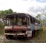 En Chiveras Abandonados Recuperacin 2904, por Alejandro Curvelo