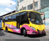 Organizacin Guaicamacuto 532, por Waldir Mata