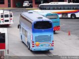 Terminales David Panam 29