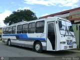 Transporte Vidosa 21, por Royner Tovar