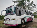 A.C. de Transporte Macizo Guayans 28, por Javier Parmalat 