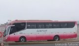 Particular 961