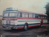 CA - Expresos Big Low