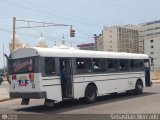 ZU - Ral Leoni 29, por Sebastin Mercado
