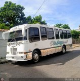 Cooperativa Rio Aragua 10