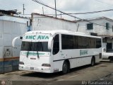 Transporte Bucaral 02, por Aly Baranauskas