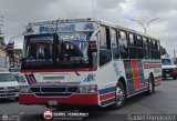 Expresos Pegamar 0014