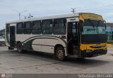ZU - Colectivos Concepcin 029