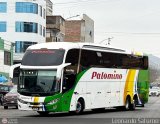 Expreso Internacional Palomino 7056
