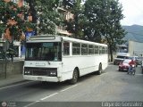 DC - Alcalda de Caracas 42, por Edgardo Gonzlez