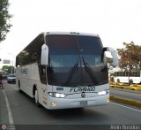 Expresos Flamingo 0008, por Alvin Rondn