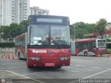 Bus CCS 0126, por Edgardo Gonzlez