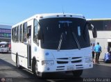 Transporte Virgen del Carmen 05, por Andr�s Ascanio