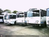 BO - Tucaroni C.A. ND, por Jos Chacn